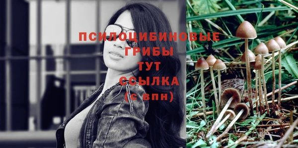 герыч Горняк