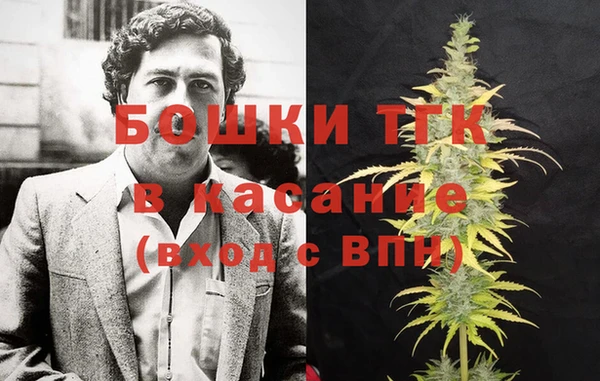 крисы Горнозаводск