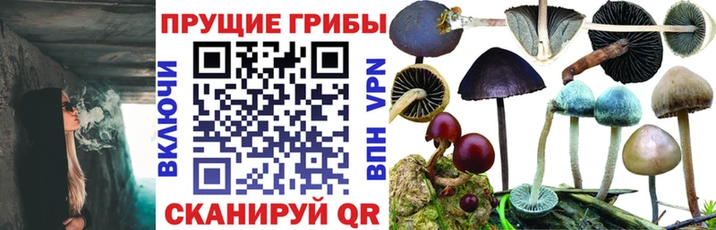 Псилоцибиновые грибы ЛСД  ОМГ ОМГ вход  Ковдор 